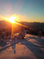 Sonnenuntergang_Winter_(2)